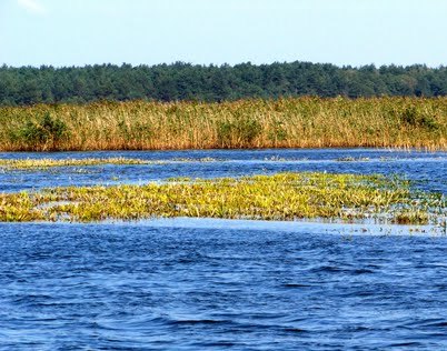 Озеро Пулемецкое