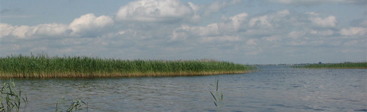 Шацкие озера